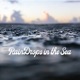 Raindrops in the Sea Single