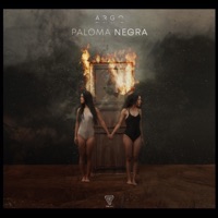 Paloma Negra (feat. Chané) - Single - Argo