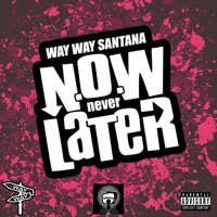 Oshimode Big Ape (feat. Kavi Picasso) - Single - WAY WAY SANTANA