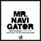 Mr. Navigator (Steve Aoki's 'i Am the Captain Now' Remix) artwork