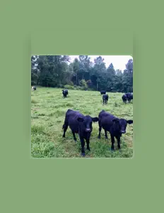 Ouve Kylie Cloud, vê vídeos de música, lê a biografia, vê as datas da digressão e muito mais!