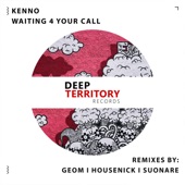 Waiting 4 Your Call (Geom Remix) artwork