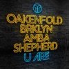 U Are (feat. BRKLYN & Amba Shepherd) - Single