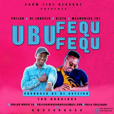 Ubufequfequ (feat. Vista & Mashonisa101) - Single