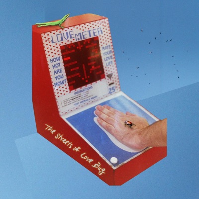 The Streets of Love Bug - Single