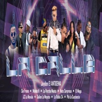 La Calle (feat. Jc la Nevula, el Mega, Gailen la Moyeta, Pla la Sustancia, Meneo H, Neto Sorpresa, Sin Freno, la Rabia 24 & la Pelcha Menta) - Single - Jayden El Antidema