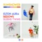 Wake Up - Elton, Andrew Bedows & Burns Twins lyrics