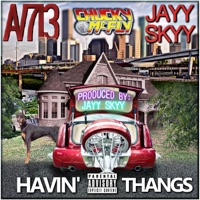 Havin' Thangs (feat. Jayy Skyy & Chucky McFly) - Single - Av713
