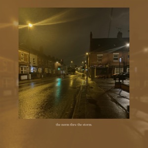 The Norm Thru the Storm. - Single