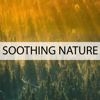 Relaxing Nature - Nature Sounds