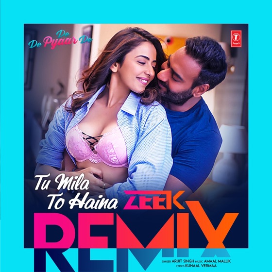 Cover artwork for Tu Mila To Haina (Zeek Remix)
