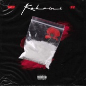 Kokaini (feat. FY) artwork