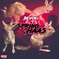 Spring Haas - Single - Bevok