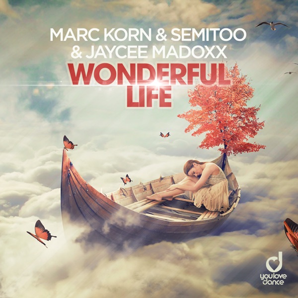 Wonderful Life - Single