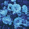 Blue - Single