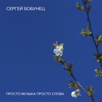 Просто музыка, просто слова - Single - Sergey Bobunets