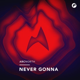 Never Gonna (Radio Edit) Arc North