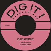 Curtis Knight - Hornet's Nest