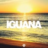 Iguana (The Remixes) - Single