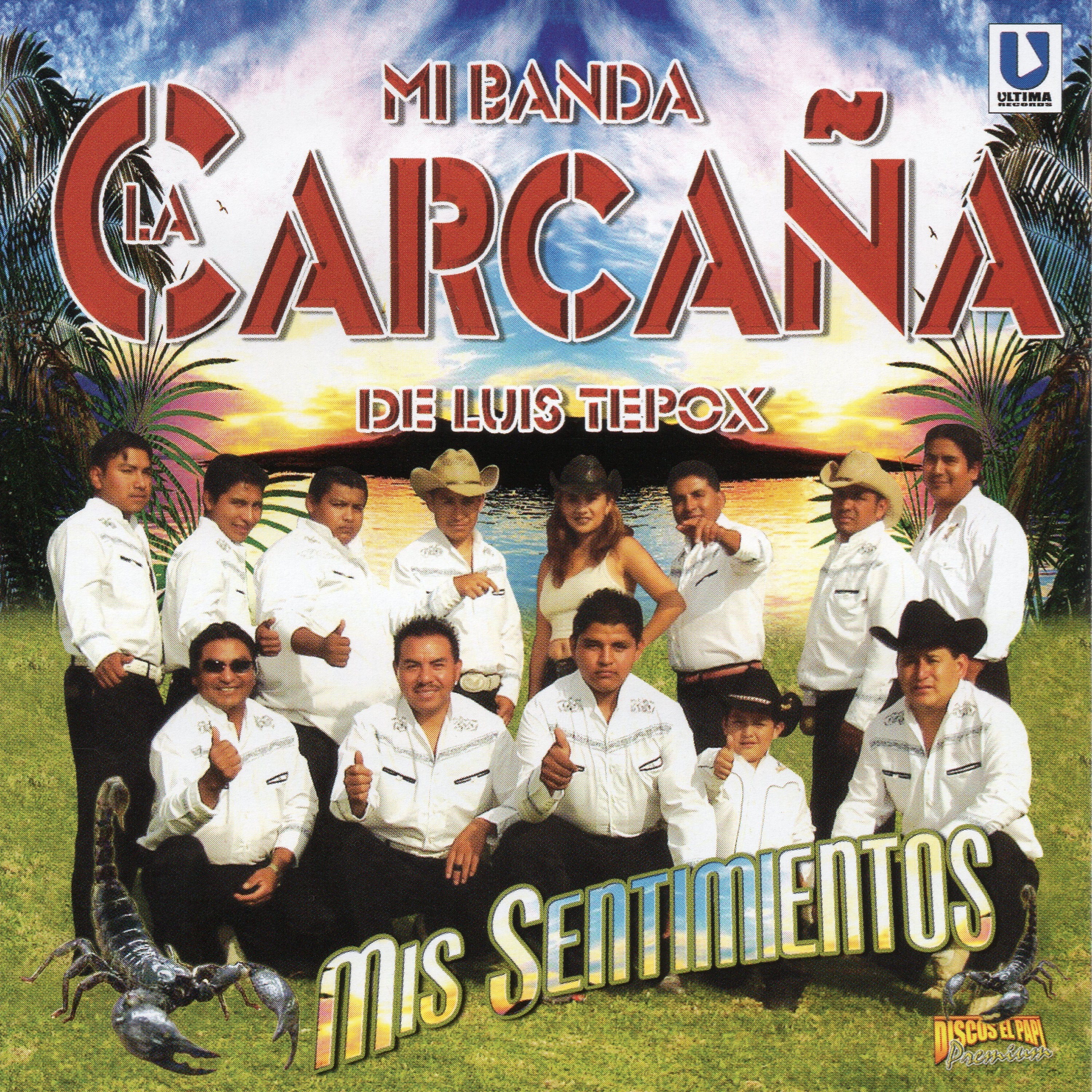 Mis Sentimientos
