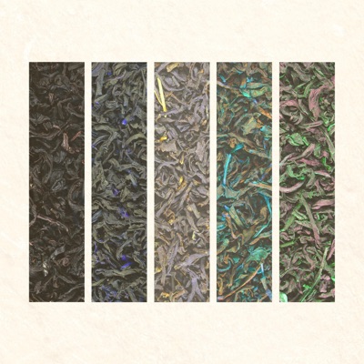 White Tea (feat. dr. nibbles) - Single