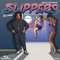 Slippers - Single - Big Shenn
