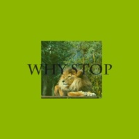 Why Stop - Single - JayDiamond