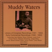 Muddy Waters 1941 - 1946 artwork