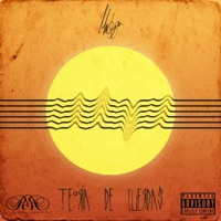 Teoría de cuerdas - Musgo One