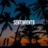 Sentimiento - Single