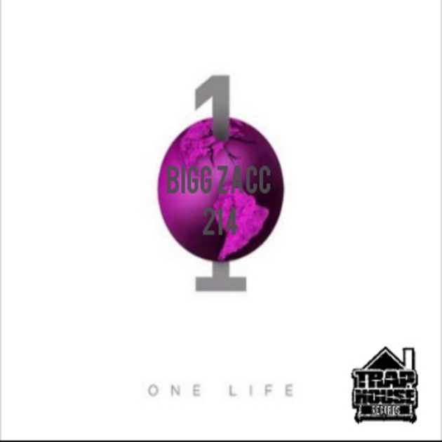 Nigga - Single - Album by Bigg Zacc 214 - Apple Music