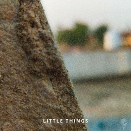 Little Things Serion