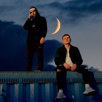 Froge im Kopf - Single - Moony & Morow