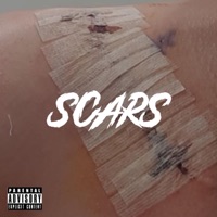 Scars - Single - Flux