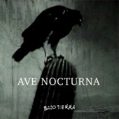 Ave Nocturna artwork