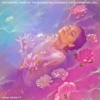 Nina Nesbitt - Toxic