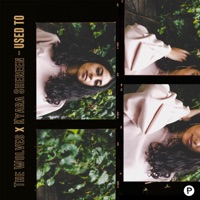 Used To - Single - The Wolves & Kyara Shereen