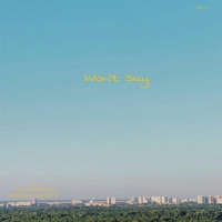 Won't Say - Single - jev.