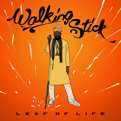 Walking Stick - Single