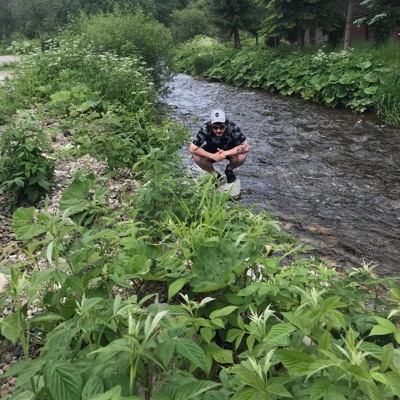 Zklo, Nebesá (feat. Saion) - Single