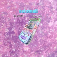 Voicemail - Single - P_NEDA & Killmeslow