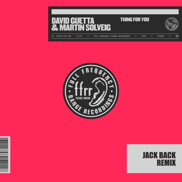David Guetta & Martin Solveig - Thing For You (Jack Back Remix)
