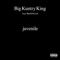 Juvenile (feat. Shad Da God) - Big Kuntry King lyrics