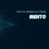 Siento cover art