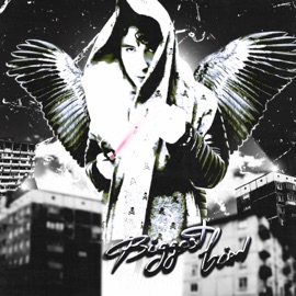 Biggest Bird Packlord