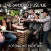 Korona hit pozitivan (feat. Elvis J. Kurtović) - Single