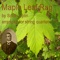 Scott Joplin - Maple Leaf Rag arranged for string quartet - Single