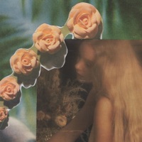 I've Never Met a Mustache I Didn't Like - Single - Kay Weathers