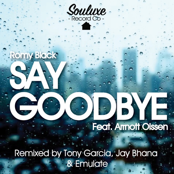 Say Goodbye (feat. Arrnott Olssen) - EP