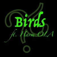 Birds (feat. Harm OLA) - Single - Konundrum